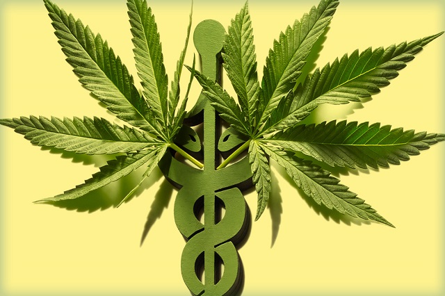 The Legitimacy of Medical Marijuana